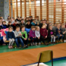 Hangszeres csalogató