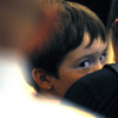 Edit Van Der Burg - Hazánk elszármazott művésze