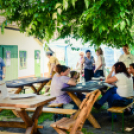 Nyitott Pince Napok - 2014