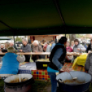 Anyámtyúkja - Csemő