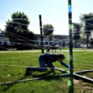 Autómentes nap Cegléden