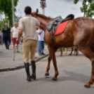 Lovasfelvonulás a belvárosban