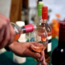 XIII. Nyitott Pince Nap