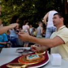 Táncsics zenés udvar