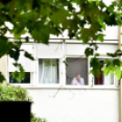 Semmelweis nap Cegléden