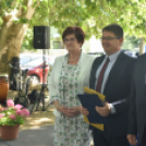 Díjak, előléptetések a Semmelweis napon