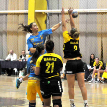 Ceglédi Kék Cápák – Danuke 22 – 31 ( 10 – 13 )