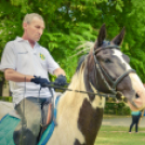 Lovasfelvonulás - Kövesdy Farm Lovasklub