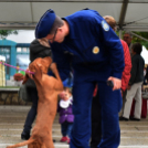 Ünnepeltek a vadászok