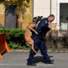 RENDŐRSÉGI NYÍLT NAP