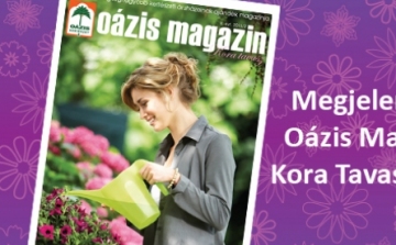 Megjelent az Oázis Magazin Kora Tavaszi száma