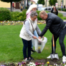 Ments meg egy árvácskát!