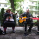 Utcazene fesztivál és koncertek