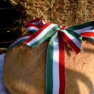 Így ünnepeltük augusztus 20-át!