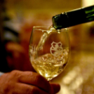 XIII. Nyitott Pince Nap