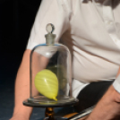 Tudományok éjszakája 6.