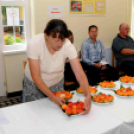 Kajszibarack tanácskozás a Gyümölcskutatóban