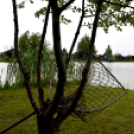 Pünkösdi horgászverseny