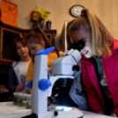 Szakmafesztivál Cegléden kicsiknek és nagyoknak