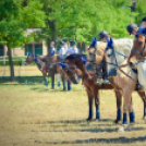 II. Ceglédi Vágta - kísérő rendezvények