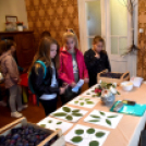 Szakmafesztivál Cegléden kicsiknek és nagyoknak