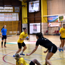 Ceglédi Kék Cápák - Fehérvár KC II. 22 - 28 ( 12 - 14 )