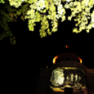 Petrik G. Band koncert