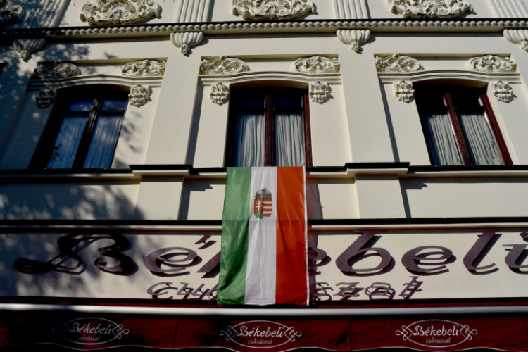 I. Ceglédi Kajszibarack lekvár és dzsem verseny nyitott zsűrizése