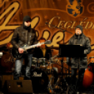 Petrik Zenekar - Karácsonyi Vásár megnyitó