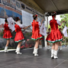 Pest megyei Rendőr- és Tűzoltónap