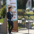 Költészet napja Cegléden