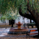 Halló Cegléd! - Kisfaludi István fotósorozata