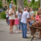 Lovasfelvonulás a belvárosban
