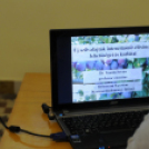 Szilva fórum Cegléden