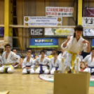 Jótékonysági gála