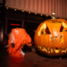 🎃 Halloween Party 🎃 DJ SOULJA | AK26