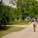 Nyitott Pince Napok - Kökény és Fia Családi Borászat