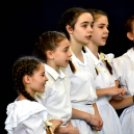 Népdaléneklési verseny