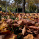 Halló Cegléd! - Kisfaludi István fotósorozata