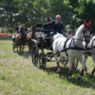 IX. Bor és Laskafesztivál - IV. Ceglédi Vágta