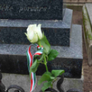 Március 14-15. Cegléd