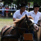 Laska fesztivál - szombat délelőtt