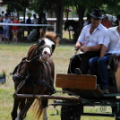 Laska fesztivál - szombat délelőtt