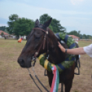 Bor és laskafesztivál - II