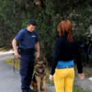 Rendőrségi nyílt nap