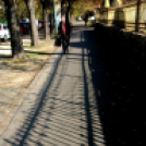 Halló Cegléd! - itt-ott