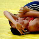 Ceglédi Birkózó OB