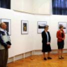 Dánia magyar szemmel