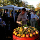 Őszköszöntő a Vörösmarty téren (CFE)