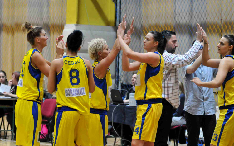 Oroszlánként küzdöttek a ceglédi elefántok